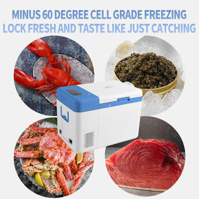 Under Table Portable Freezer for 100V to 240V 12V/24V -60 Degree Seafood Meat Storage